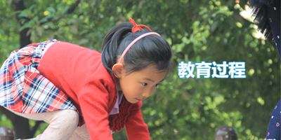 教育过程